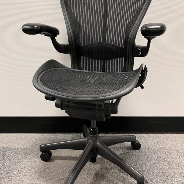 Herman Miller Aeron Size B Lumbar Pad